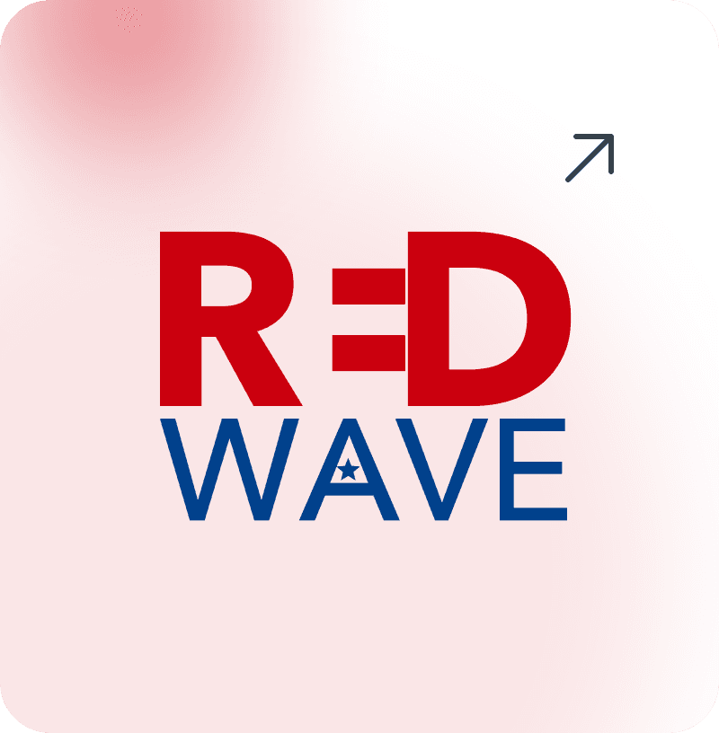 RedWave case study preview